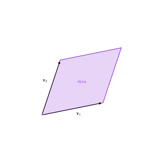 Determinant As Area icon