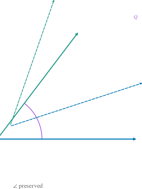 Geometric Preservation icon